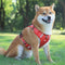 Reflective No-Pull Dog Harness - Safe and Stylish